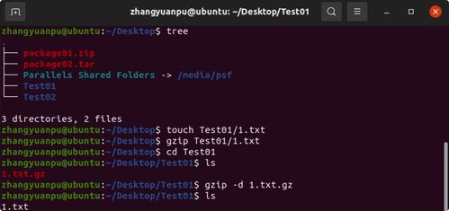 Linux操作系統(tǒng)初探 從計(jì)算機(jī)基礎(chǔ)到入門實(shí)踐